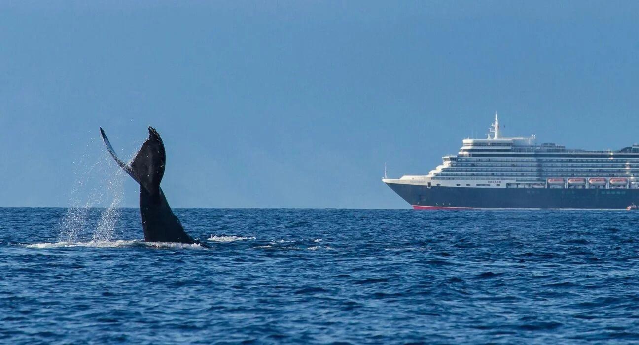 Way Ahead for the Underwater Radiated Noise Management