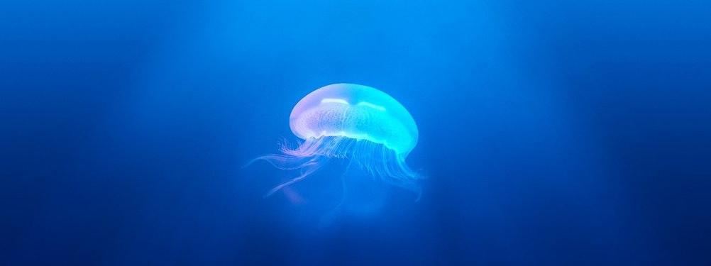 Underwater Domain Awareness – A New Perspective in the Indo Pacific
