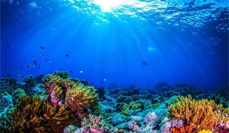 Blue Bonds can accelerate sustainable ways for undersea exploration