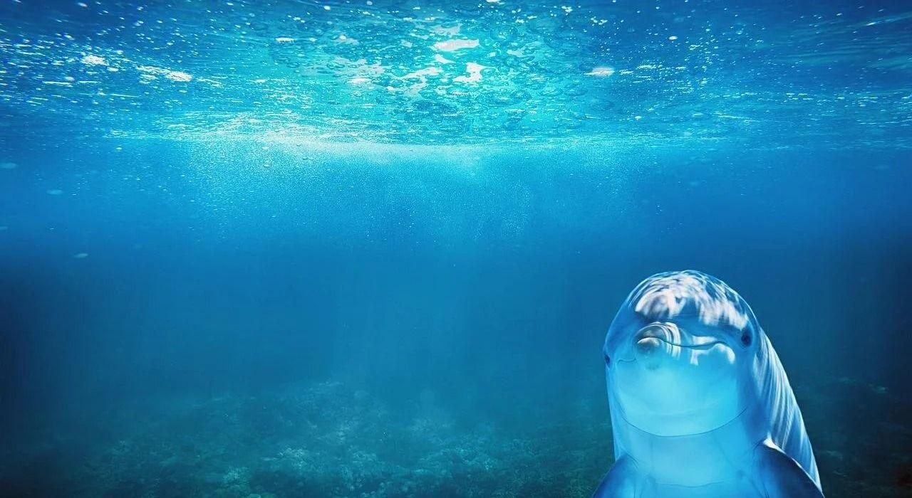 Retrieving the Ocean with Artificial Intelligence
